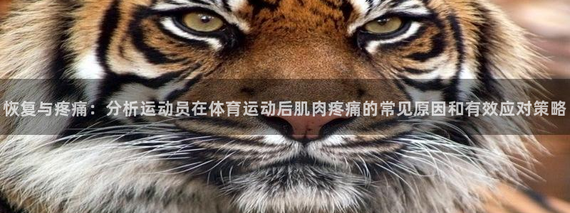 oety欧亿