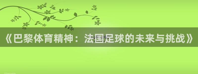 oety欧亿：《巴黎体育精神：法国足球的未来与挑战》
