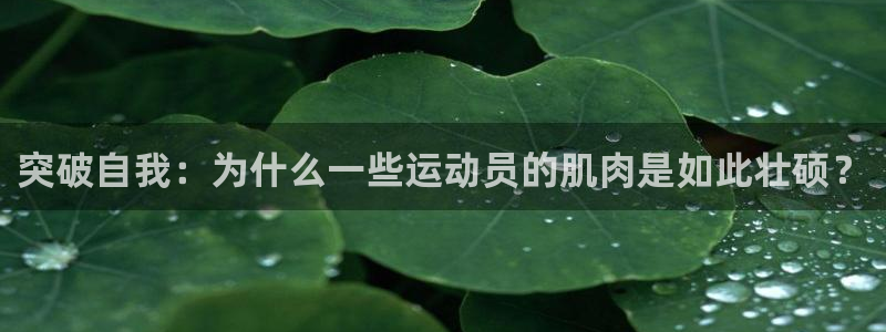 oety欧亿