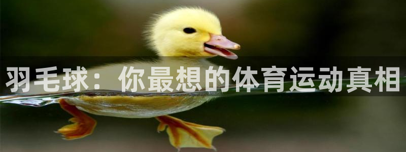 oety欧亿