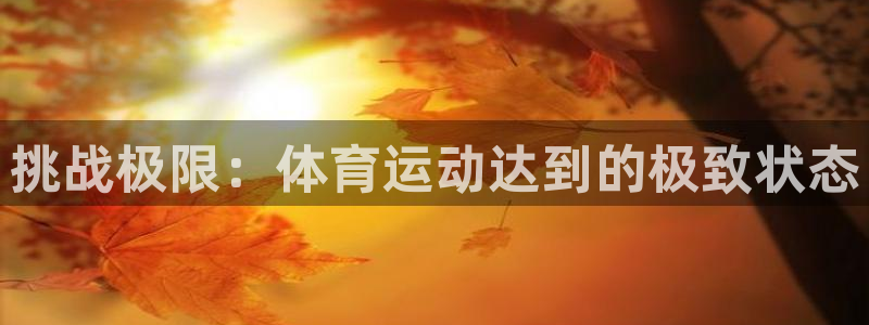 oety欧亿