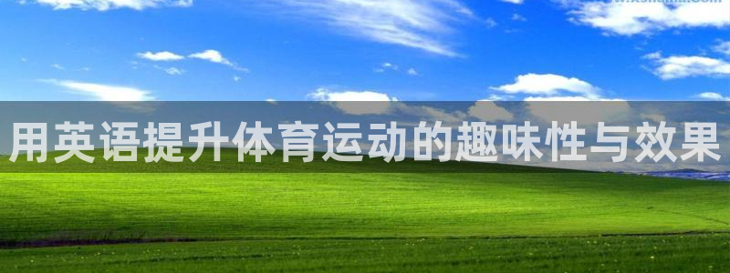 oety欧亿