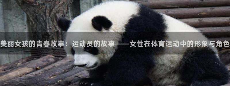 oety欧亿：美丽女孩的青春故事：运动员的故事——女性在体育运动中的形象与角色