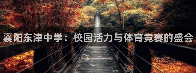 oety欧亿：襄阳东津中学：校园活力与体育竞赛的盛会