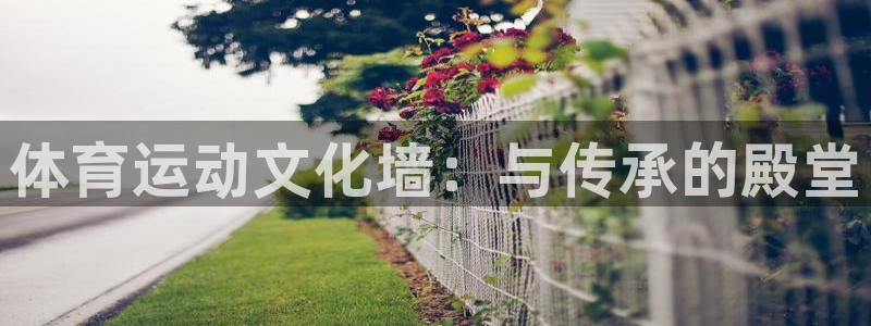 oety欧亿：体育运动文化墙：与传承的殿堂
